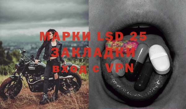 ALPHA PVP Остров