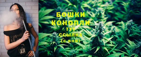ALPHA PVP Остров