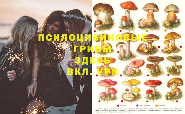 каннабис Пестово