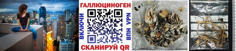 Галлюциногенные грибы мухоморы  Купить где  Кирсанов 